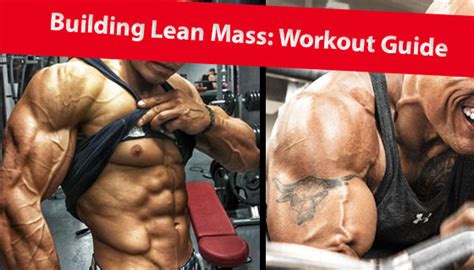 The Best Workout Routine to Build Lean Mass - Muscle … - balustradellc
