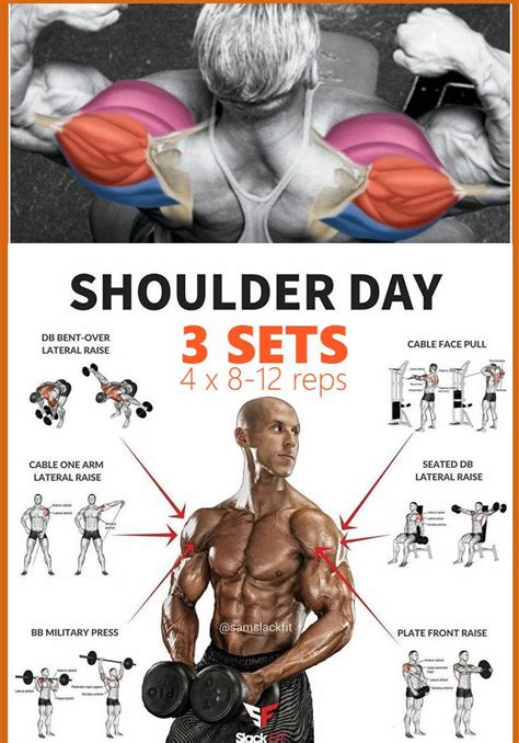 The Best Workouts to Get Bigger Shoulders - balustradellc