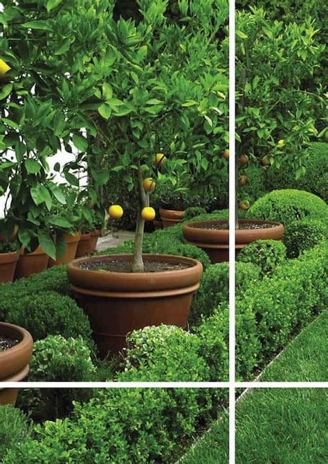 The Big Outdoor Garden Plant Pot Specialists | World … - balustradellc