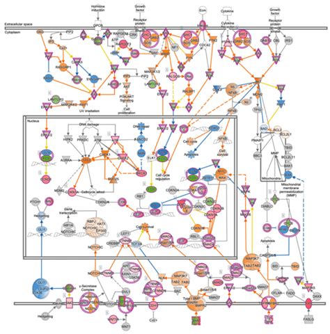 The biology of cancer - ScienceDirect - muktibox.com