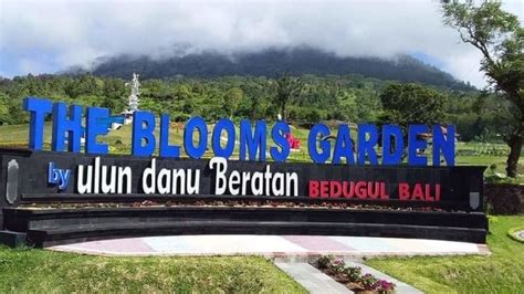 The bloom garden bali - raincitystudios.com