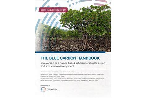 THE BLUE CARBON HANDBOOK - raincitystudios.com