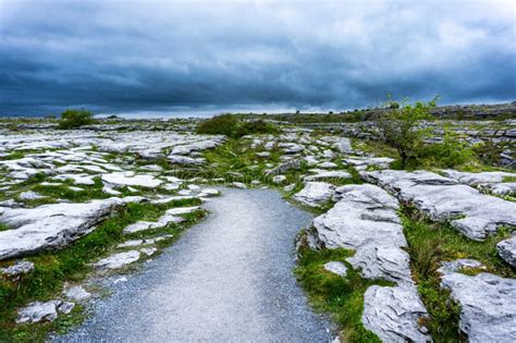 The Burren: a glacial, karstic and biokarstic expression of a limestone ... - wintechmobiles.com