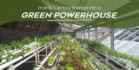 The business guide to green power: 12 ways to invest … - balustradellc