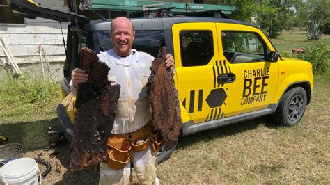 The business of bees | ScienceDaily - raincitystudios.com