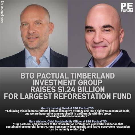 The Campbell Group: timberland investment management - raincitystudios.com
