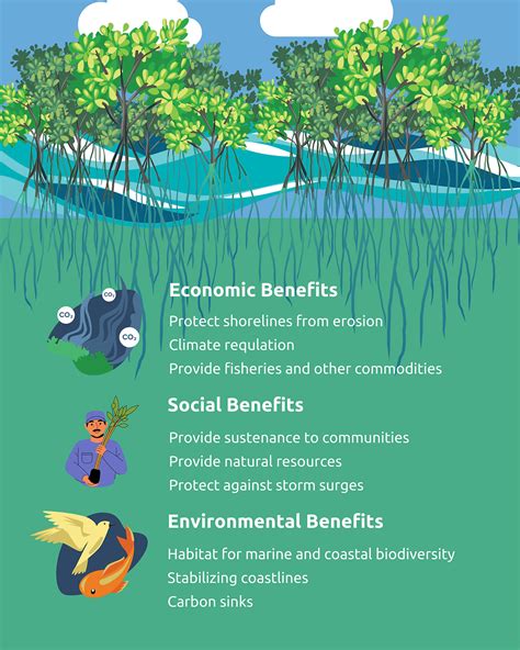THE CASE FOR MANGROVES AS A NATURE-BASED CLIMATE … - raincitystudios.com