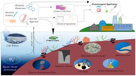 The Chemistry of Marine Microbes - raincitystudios.com