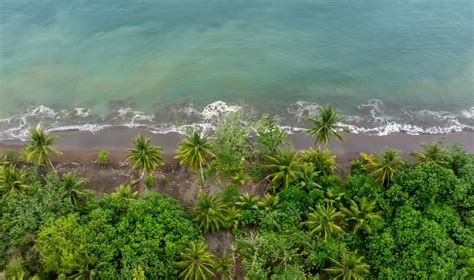 The Chocó | Biodiversity-Hotspot in Ecuador - raincitystudios.com