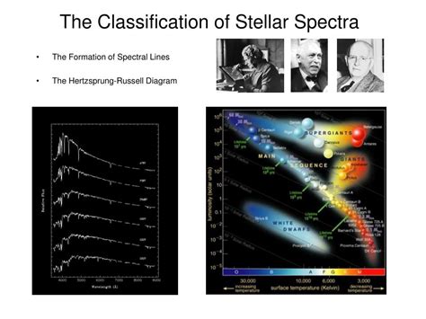 The classification of stellar spectra - wintechmobiles.com