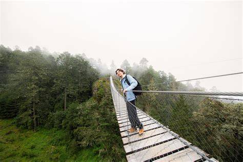The Cloud Forest of the Sierra Juarez - raincitystudios.com