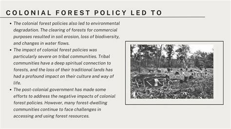 The Colonial Legacy of Forest Policies in India - JSTOR - raincitystudios.com