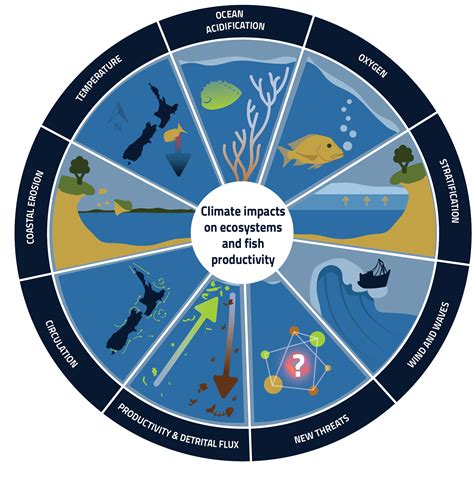 The combined impact of fisheries and climate change on future carbon ... - raincitystudios.com
