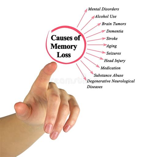 The common causes of memory loss | Health | Jamaica Gleaner - wintechmobiles.com