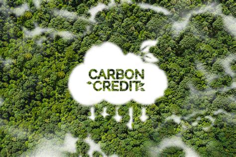 The Complete Guide to Carbon Credits | Insights - balustradellc
