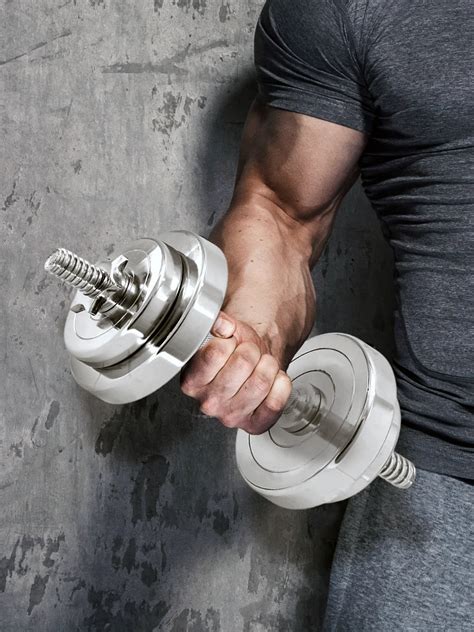 The Complete Guide to the Best Dumbbells for Home … - balustradellc