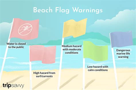 The complete list of beach flags and warning signs - balustradellc