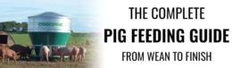 The Complete Pig Feeding Guide: From Wean to Finish - balustradellc
