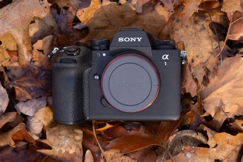 The Complete Setup Guide to the Sony a1 II - balustradellc
