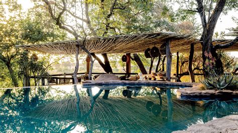 The Conservation Story Behind One Of South Africa’s Most Luxurious ... - balustradellc