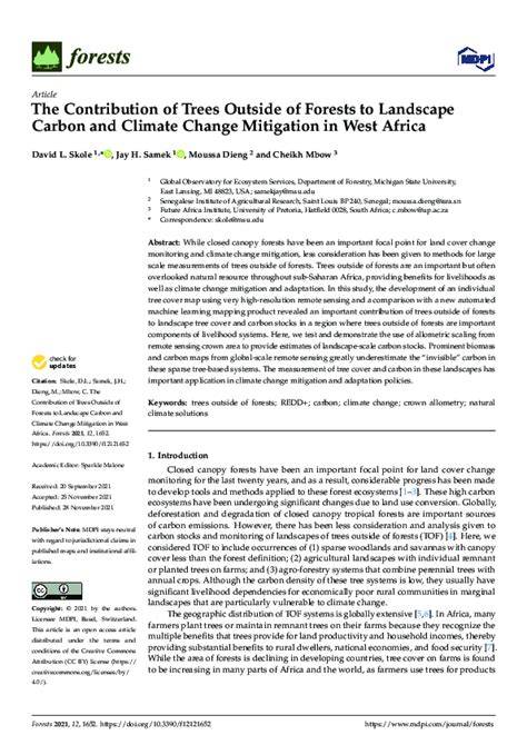 the contribution of forests to climate change mitigation - raincitystudios.com