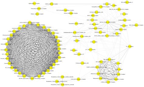 The Cooperativity and Spatial Network Relationship Between ... - MDPI - wintechmobiles.com