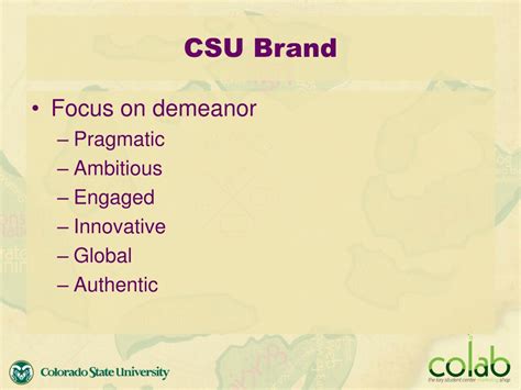 The CSU Brand - California State University - muktibox.com
