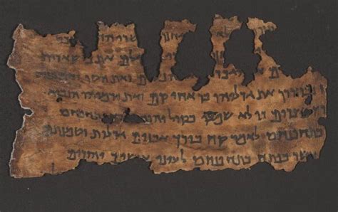 The Dead Sea Scrolls contain genetic clues to their origins - balustradellc