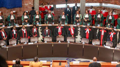 THE DECISION OF THE CONSTITUTIONAL COURT … - raincitystudios.com