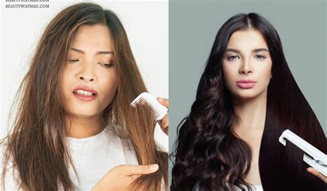 The Definitive Guide to Hair Loss and Hair Thinning … - balustradellc