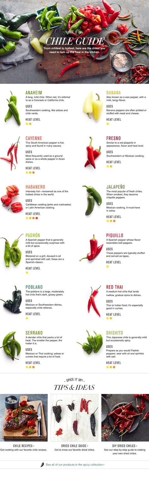 THE DEFINITIVE HOT CHILE PEPPER GUIDE - Heliotricity