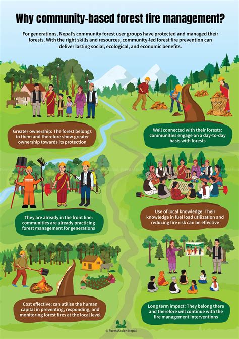 The Development of Community-Based Forest … - raincitystudios.com