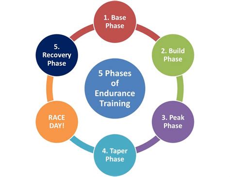 The Development of Endurance Exercise in Developing the Training of ... - balustradellc