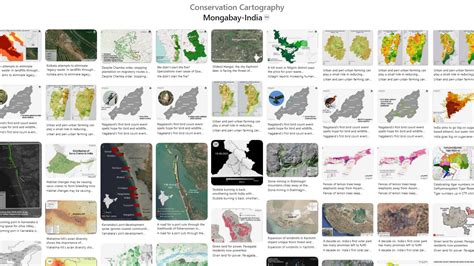 The Development of Lithographic Cartography and the Conservation ... - wintechmobiles.com