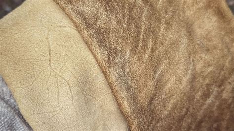 The difference between Brain Tanned Buckskin and Leather - balustradellc