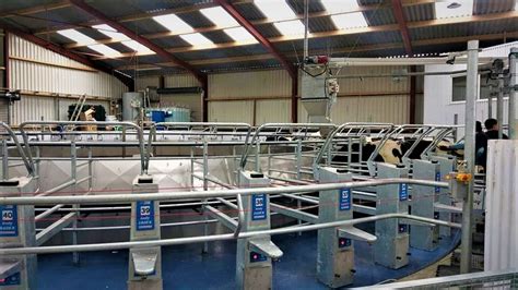 The Different Types of Milking Parlours | Electromech Agri - balustradellc