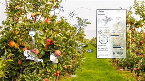 The digital orchard: advanced data-driven technologies in apple ... - raincitystudios.com
