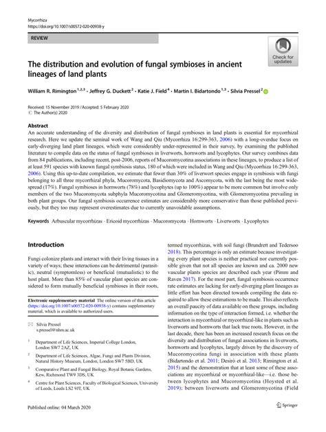 The distribution and evolution of fungal symbioses in ancient lineages ... - raincitystudios.com