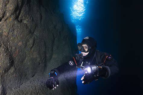 The Dive Light: A Tool for All Divers - DAN World - raincitystudios.com