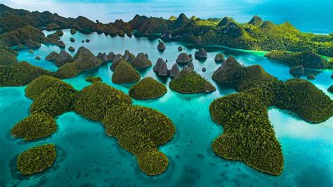 The Diveplanit guide to the best diving in Indonesia - balustradellc