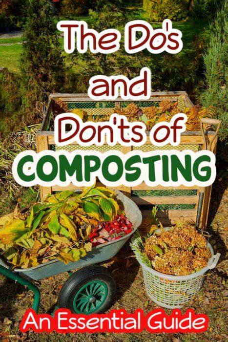 The Do's and Don'ts of Backyard Composting - Treehugger - raincitystudios.com