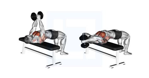 The Dumbbell Pullover: How To, Benefits, Variations - Muscle & Fitness - balustradellc