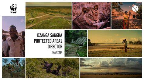 The Dzanga-Sangha Protected Areas - raincitystudios.com