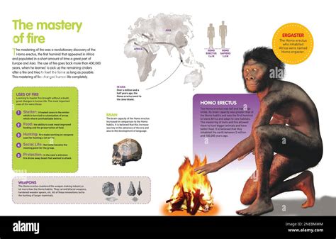 The Earliest Example of Hominid Fire - Smithsonian Magazine - wintechmobiles.com