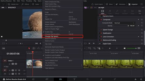 The Easiest Way To Change Clip Speed in DaVinci Resolve - balustradellc
