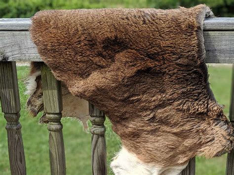 The Easiest Way to Tan a Deer Hide - LiveOutdoors - balustradellc