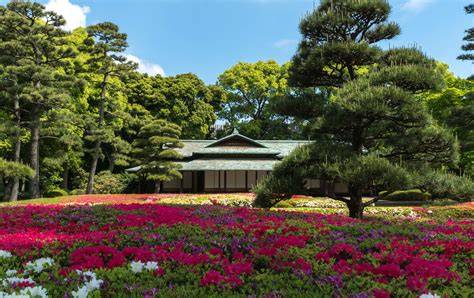 The East Gardens of the Imperial Palace - Travel Japan - raincitystudios.com