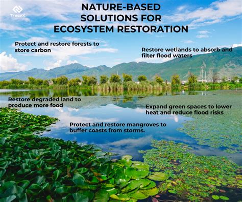 The Ecological Restoration of Estuaries - Estuarine Cities Facing ... - raincitystudios.com