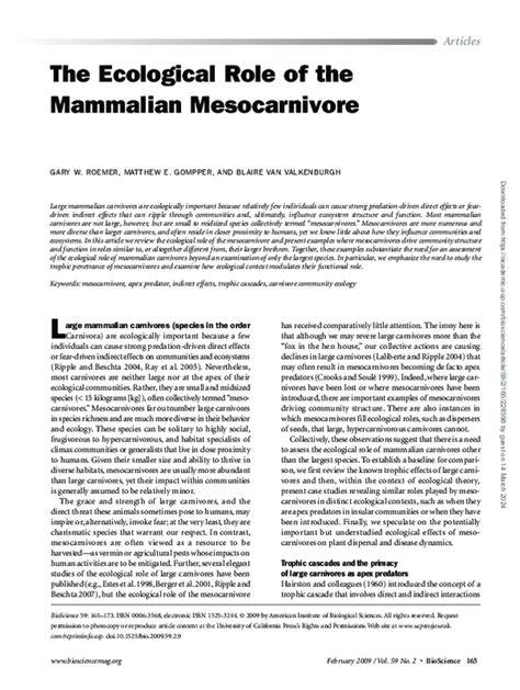 The Ecological Role of the Mammalian Mesocarnivore - raincitystudios.com