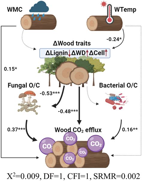 The ecology of wood decomposition - JSTOR - raincitystudios.com